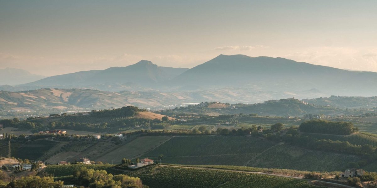 AZIENDA LATO OVEST-min