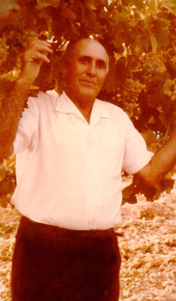 Foto Amilcare vigneti 1962-min