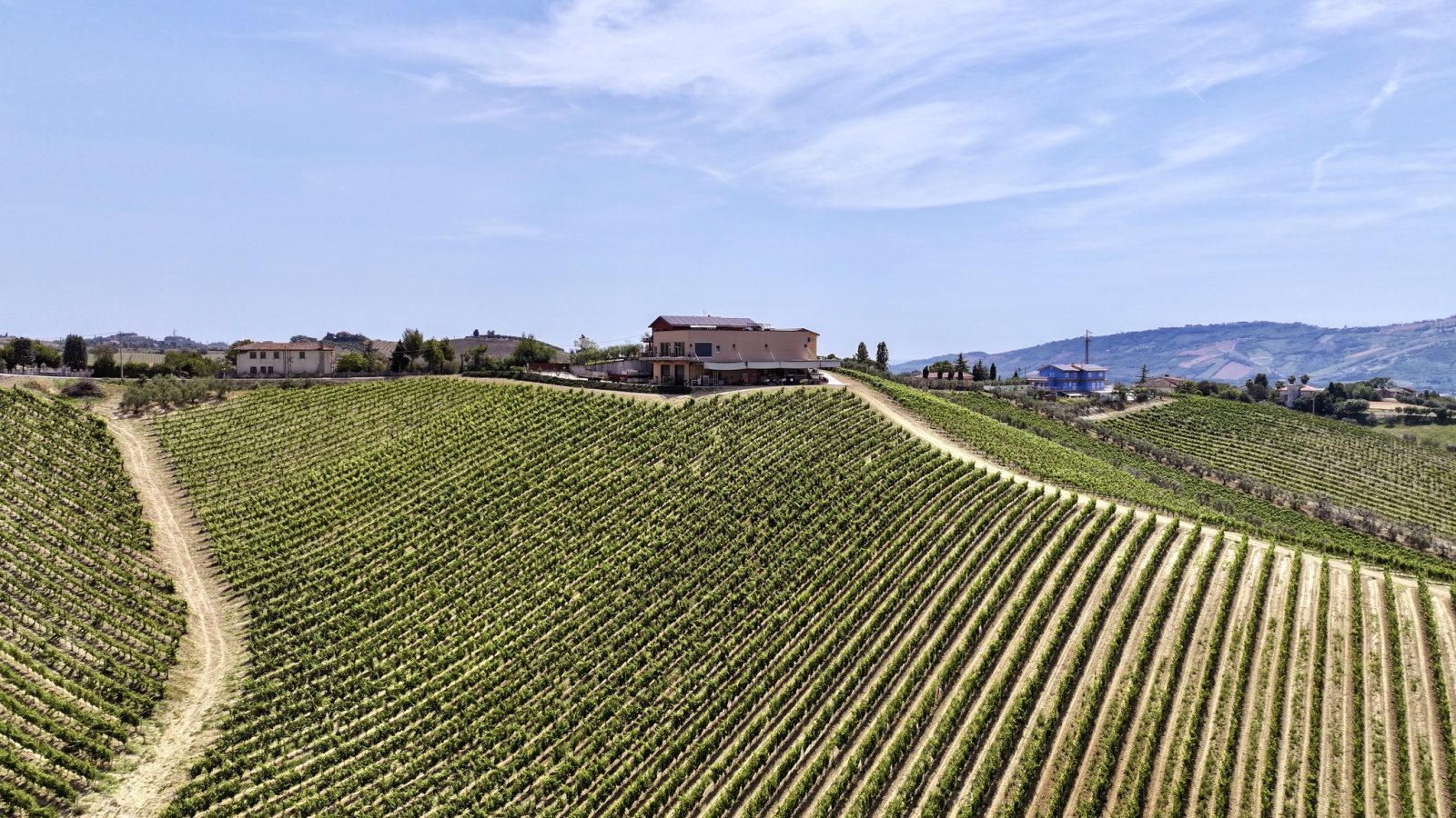 Italian wine-producing company